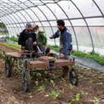 Test du concept du bicitractor avec quelques maraîchers.